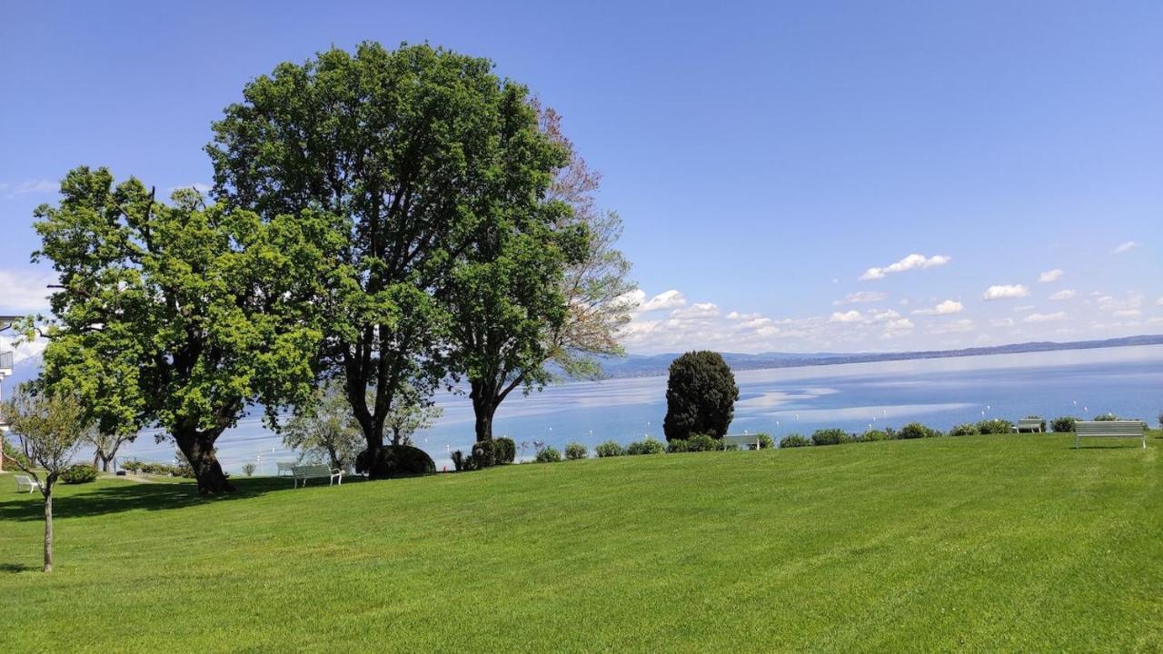 Front Lake Amazing View 마네르바 델 가르다 외부 사진