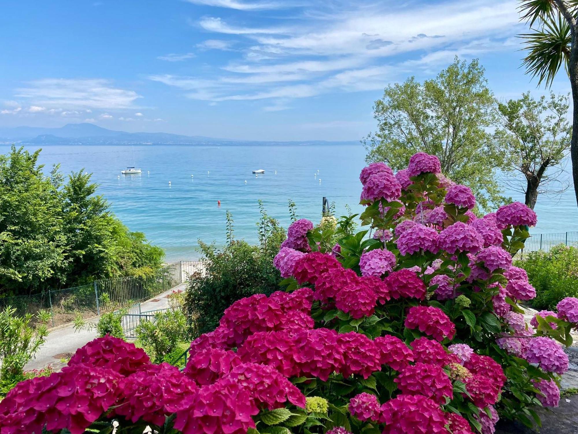 Front Lake Amazing View 마네르바 델 가르다 외부 사진